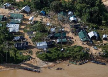 Governo estuda auxílio de renda para garimpeiros na Terra Yanomami