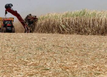 Mercado financeiro vê crescimento maior da economia em 2023 e 2024